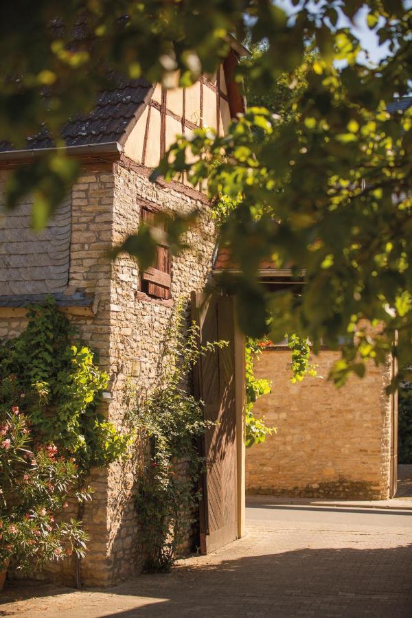 Weinhotel Wasem Ingelheim am Rhein Kültér fotó