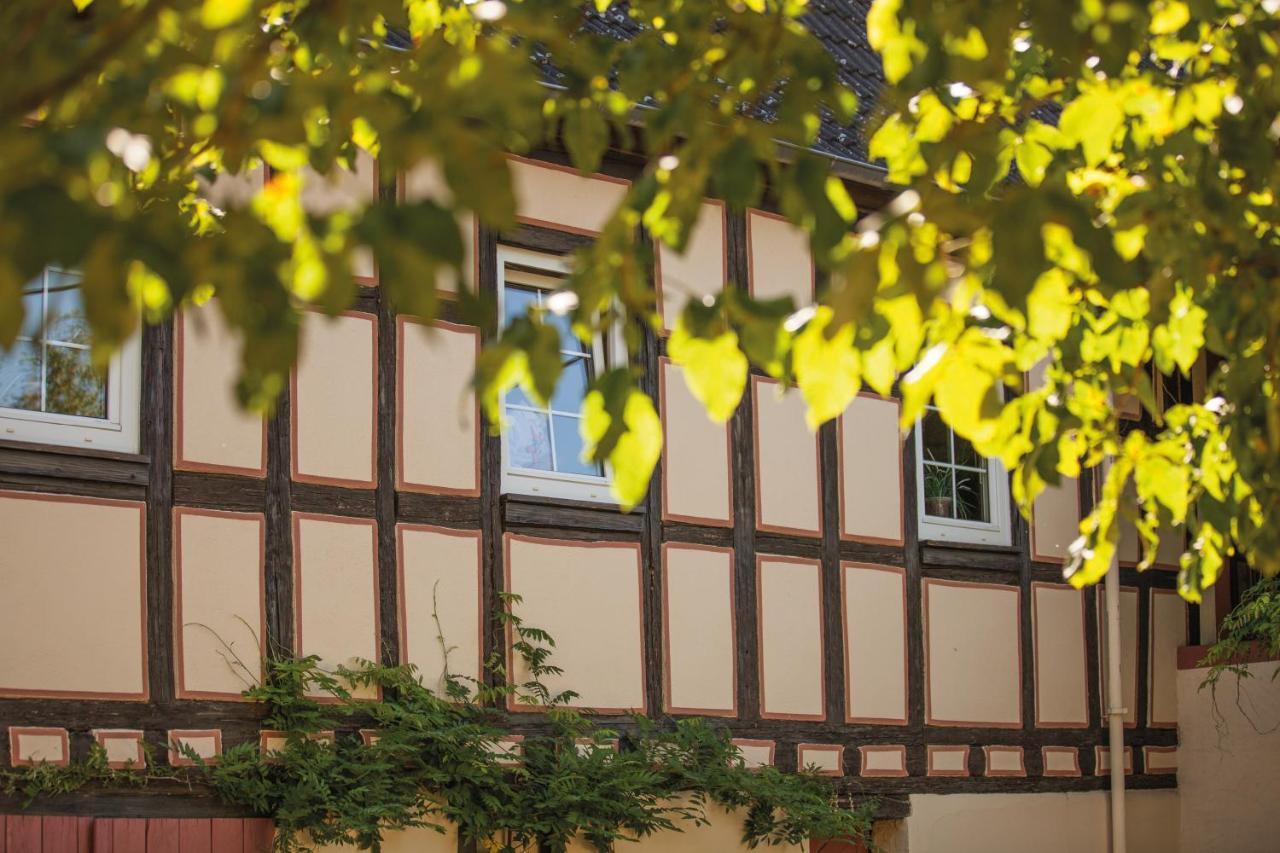 Weinhotel Wasem Ingelheim am Rhein Kültér fotó